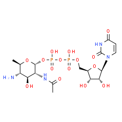 ChemSpider 2D Image | UDP-2-acetamido-4-amino-2,4,6-trideoxy-alpha-D-glucose | C17H28N4O15P2