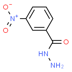 ChemSpider 2D Image | 3-Nitrobenzhydrazide | C7H7N3O3