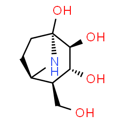 ChemSpider 2D Image | (1R,2S,3R,4R,5R)-4-(Hydroxymethyl)-8-azabicyclo[3.2.1]octane-1,2,3-triol | C8H15NO4
