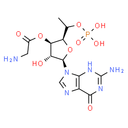 ChemSpider 2D Image | (2S,3R,4R,5R)-5-(2-Amino-6-oxo-1,6-dihydro-9H-purin-9-yl)-4-hydroxy-2-[(1S)-1-(phosphonooxy)ethyl]tetrahydro-3-furanyl aminoacetate | C13H19N6O9P