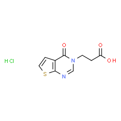 ChemSpider 2D Image | 3-{4-oxo-3H,4H-thieno[2,3-d]pyrimidin-3-yl}propanoic acid hydrochloride | C9H9ClN2O3S