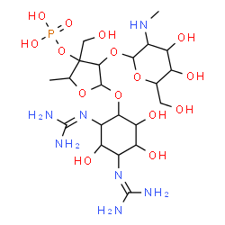 ChemSpider 2D Image | 2,2'-[4-({5-Deoxy-2-O-[2-deoxy-2-(methylamino)hexopyranosyl]-3-C-(hydroxymethyl)-3-O-phosphonopentofuranosyl}oxy)-2,5,6-trihydroxy-1,3-cyclohexanediyl]diguanidine | C21H42N7O15P