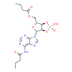 ChemSpider 2D Image | {(3aR,4R,6R,6aR)-6-[6-(Butyrylamino)-9H-purin-9-yl]-2-hydroxy-2-oxidotetrahydrofuro[3,4-d][1,3,2]dioxaphosphol-4-yl}methyl butyrate | C18H24N5O8P