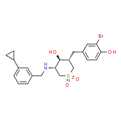 ChemSpider 2D Image | (3S,4S,5R)-3-(3-Bromo-4-hydroxybenzyl)-5-[(3-cyclopropylbenzyl)amino]tetrahydro-2H-thiopyran-4-ol 1,1-dioxide | C22H26BrNO4S