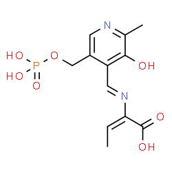 ChemSpider 2D Image | (2E)-2-[(E)-({3-Hydroxy-2-methyl-5-[(phosphonooxy)methyl]-4-pyridinyl}methylene)amino]-2-butenoic acid | C12H15N2O7P