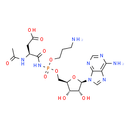 ChemSpider 2D Image | (3S)-3-acetamido-4-[[3-aminopropoxy-[[(2R,3S,4R,5R)-5-(6-aminopurin-9-yl)-3,4-dihydroxy-tetrahydrofuran-2-yl]methoxy]phosphoryl]amino]-4-oxo-butanoic acid | C19H29N8O10P