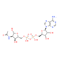 ChemSpider 2D Image | [(2R,3S,4R,5R)-4-Acetamido-3,5-dihydroxytetrahydro-2-furanyl]methyl [(2R,3S,4R,5R)-5-(6-amino-9H-purin-9-yl)-3,4-dihydroxytetrahydro-2-furanyl]methyl dihydrogen diphosphate | C17H26N6O14P2