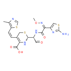 ChemSpider 2D Image | (2R)-2-[(1R)-1-{[(2Z)-2-(2-Amino-1,3-thiazol-4-yl)-2-(methoxyimino)acetyl]amino}-2-oxoethyl]-5-[(Z)-2-(4-methyl-1,3-thiazol-5-yl)vinyl]-3,6-dihydro-2H-1,3-thiazine-4-carboxylic acid | C19H20N6O5S3