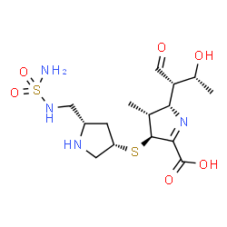 ChemSpider 2D Image | (2S,3R,4S)-2-[(2S,3R)-3-Hydroxy-1-oxo-2-butanyl]-3-methyl-4-({(3S,5S)-5-[(sulfamoylamino)methyl]-3-pyrrolidinyl}sulfanyl)-3,4-dihydro-2H-pyrrole-5-carboxylic acid | C15H26N4O6S2