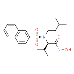 ChemSpider 2D Image | N-Hydroxy-N~2~-(3-methylbutyl)-N~2~-(2-naphthylsulfonyl)-D-valinamide | C20H28N2O4S