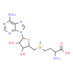 ChemSpider 2D Image | (3-amino-3-carboxy-propyl)-[[5-(6-aminopurin-9-yl)-3,4-dihydroxy-tetrahydrofuran-2-yl]methyl]-methyl-selenonium | C15H23N6O5Se