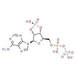 ChemSpider 2D Image | (2S,3aR,4R,6R,6aR)-4-(6-Amino-9H-purin-9-yl)-6-({[hydroxy(sulfooxy)phosphoryl]oxy}methyl)tetrahydrofuro[3,4-d][1,3,2]dioxaphosphol-2-ol 2-oxide | C10H13N5O12P2S