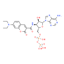 ChemSpider 2D Image | 3'-(7-Diethylaminocoumarin-3-Carbonylamino)-3'-Deoxy-Adp | C24H29N7O12P2