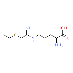 ChemSpider 2D Image | N~5~-[2-(Ethylsulfanyl)ethanimidoyl]-L-ornithine | C9H19N3O2S