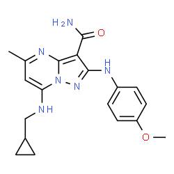 ChemSpider 2D Image | 7-[(Cyclopropylmethyl)amino]-2-[(4-methoxyphenyl)amino]-5-methylpyrazolo[1,5-a]pyrimidine-3-carboxamide | C19H22N6O2