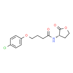ChemSpider 2D Image | 4-(4-Chlorophenoxy)-N-[(3S)-2-oxotetrahydro-3-furanyl]butanamide | C14H16ClNO4