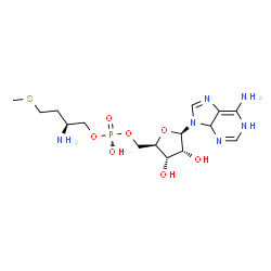 ChemSpider 2D Image | 5'-O-[(S)-[(2S)-2-Amino-4-(methylsulfanyl)butoxy](hydroxy)phosphoryl]-4-hydroadenosine | C15H27N6O7PS