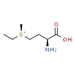 ChemSpider 2D Image | [(3S)-3-Amino-3-carboxypropyl](ethyl)methylsulfonium | C7H16NO2S