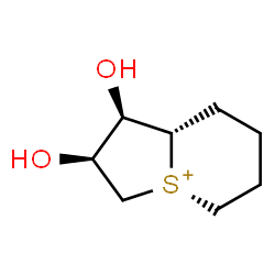 ChemSpider 2D Image | (1R,2S,8aS)-1,2-Dihydroxyoctahydrothieno[1,2-a]thiopyranium | C8H15O2S