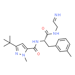 ChemSpider 2D Image | N-(2-Iminoethyl)-3-methyl-Nalpha-{[1-methyl-3-(2-methyl-2-propanyl)-1H-pyrazol-5-yl]carbonyl}-L-phenylalaninamide | C21H29N5O2