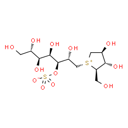 ChemSpider 2D Image | (2S,3S,4R,5S,6S)-1-[(2R,3S,4S)-3,4-Dihydroxy-2-(hydroxymethyl)tetrahydro-1-thiopheniumyl]-2,4,5,6,7-pentahydroxy-3-heptanyl sulfate | C12H24O12S2