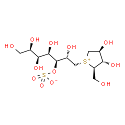 ChemSpider 2D Image | (2S,3S,4R,5S,6R)-1-[(2R,3S,4S)-3,4-Dihydroxy-2-(hydroxymethyl)tetrahydro-1-thiopheniumyl]-2,4,5,6,7-pentahydroxy-3-heptanyl sulfate | C12H24O12S2