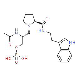 ChemSpider 2D Image | (2R)-2-Acetamido-3-[(2S)-2-{[2-(1H-indol-3-yl)ethyl]carbamoyl}-1-pyrrolidinyl]propyl dihydrogen phosphate | C20H29N4O6P