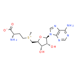 ChemSpider 2D Image | (S)-ademetionine | C15H22N6O5S