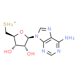 ChemSpider 2D Image | {[(2S,3S,4R,5R)-5-(6-Amino-9H-purin-9-yl)-3,4-dihydroxytetrahydro-2-furanyl]methyl}sulfonium | C10H14N5O3S