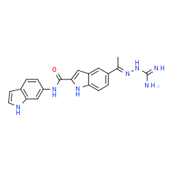 ChemSpider 2D Image | (E)-5-(1-(2-Carbamimidoylhydrazono)ethyl)-N-(1h-Indol-6-Yl)-1h-Indole-2-Carboxamide | C20H19N7O