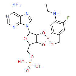 ChemSpider 2D Image | [6-(6-aminopurin-9-yl)-3'-(ethylamino)-4'-fluoro-spiro[2,4,7-trioxa-3-boranuidabicyclo[3.3.0]octane-3,9'-8-oxa-9-boranuidabicyclo[4.3.0]nona-1,3,5-triene]-8-yl]methyl dihydrogen phosphate | C19H22BFN6O8P