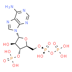 ChemSpider 2D Image | 3'-phosphate-adenosine-5'-diphosphate | C10H16N5O13P3