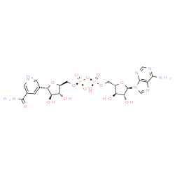 ChemSpider 2D Image | 5-BETA-D-RIBOFURANOSYLNICOTINAMIDE ADENINE DINUCLEOTIDE | C21H27N7O14P2
