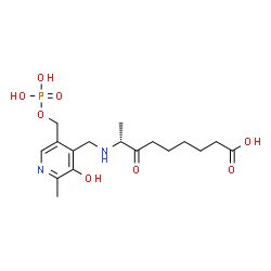 ChemSpider 2D Image | N-PYRIDOXYL-7-KETO-8-AMINOPELARGONIC ACID-5'-MONOPHOSPHATE | C17H27N2O8P