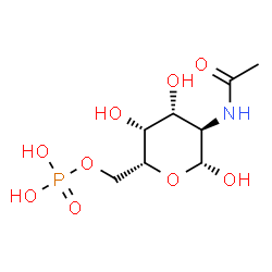ChemSpider 2D Image | 16G | C8H16NO9P