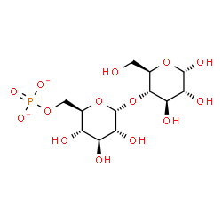 ChemSpider 2D Image | 4-O-(6-O-Phosphonato-alpha-D-glucopyranosyl)-alpha-D-glucopyranose | C12H21O14P