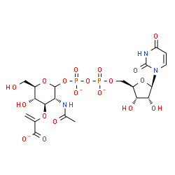 ChemSpider 2D Image | 2-{[(3R,4R,5S,6R)-3-Acetamido-2-({[({[(2R,3S,4R,5R)-5-(2,4-dioxo-3,4-dihydro-1(2H)-pyrimidinyl)-3,4-dihydroxytetrahydro-2-furanyl]methoxy}phosphinato)oxy]phosphinato}oxy)-5-hydroxy-6-(hydroxymethyl)te
trahydro-2H-pyran-4-yl]oxy}acrylate | C20H26N3O19P2