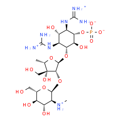 ChemSpider 2D Image | (1S,2R,3S,4S,5R,6S)-2,4-Bis{[ammonio(imino)methyl]amino}-5-({5-deoxy-2-O-[2-deoxy-2-(methylammonio)-alpha-L-glucopyranosyl]-3-C-(hydroxymethyl)-alpha-L-lyxofuranosyl}oxy)-3,6-dihydroxycyclohexyl phosp
hate | C21H43N7O15P
