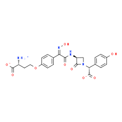 ChemSpider 2D Image | (2R)-2-Ammonio-4-{4-[(1Z)-2-({(3S)-1-[(R)-carboxylato(4-hydroxyphenyl)methyl]-2-oxo-3-azetidinyl}amino)-N-hydroxy-2-oxoethanimidoyl]phenoxy}butanoate | C23H23N4O9