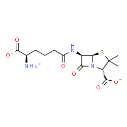ChemSpider 2D Image | (2S,5R,6R)-6-{[(5R)-5-Ammonio-5-carboxylatopentanoyl]amino}-3,3-dimethyl-7-oxo-4-thia-1-azabicyclo[3.2.0]heptane-2-carboxylate | C14H20N3O6S