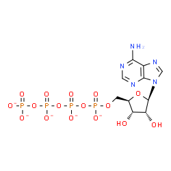 ChemSpider 2D Image | adenosine 5'-tetraphosphate(5-) | C10H12N5O16P4