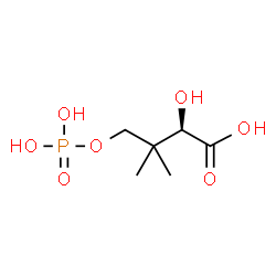 ChemSpider 2D Image | (R)-4-phosphopantoic acid | C6H13O7P