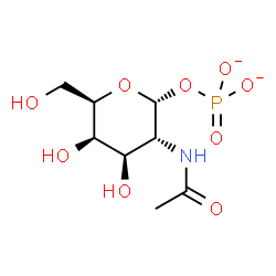 ChemSpider 2D Image | 2-Acetamido-2-deoxy-1-O-phosphonato-alpha-D-galactopyranose | C8H14NO9P