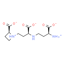 ChemSpider 2D Image | (2S)-1-[(3S)-3-{[(3S)-3-Ammonio-3-carboxylatopropyl]amino}-3-carboxylatopropyl]-2-azetidiniumcarboxylate | C12H20N3O6