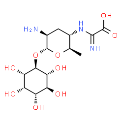 ChemSpider 2D Image | (1S,2R,3S,4S,5S,6S)-2,3,4,5,6-Pentahydroxycyclohexyl 2-amino-4-{[carboxy(imino)methyl]amino}-2,3,4,6-tetradeoxy-alpha-D-arabino-hexopyranoside | C14H25N3O9