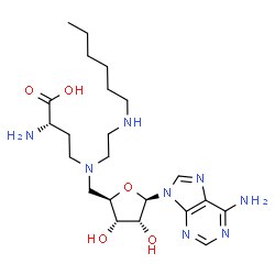 ChemSpider 2D Image | 5'-{[(3S)-3-Amino-3-carboxypropyl][2-(hexylamino)ethyl]amino}-5'-deoxyadenosine | C22H38N8O5