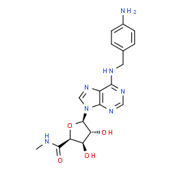 ChemSpider 2D Image | (2S,3R,4R,5R)-5-{6-[(4-Aminobenzyl)amino]-9H-purin-9-yl}-3,4-dihydroxy-N-methyltetrahydro-2-furancarboxamide | C18H21N7O4