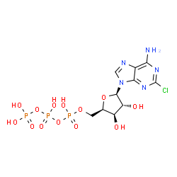 ChemSpider 2D Image | [[(2R,3R,4R,5R)-5-(6-amino-2-chloro-purin-9-yl)-3,4-dihydroxy-tetrahydrofuran-2-yl]methoxy-hydroxy-phosphoryl] phosphono hydrogen phosphate | C10H15ClN5O13P3