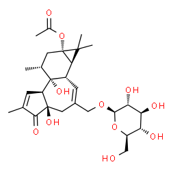 ChemSpider 2D Image | fischeroside A | C28H40O11