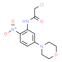 ChemSpider 2D Image | 2-Chloro-N-[5-(4-morpholinyl)-2-nitrophenyl]acetamide | C12H14ClN3O4